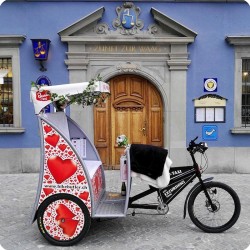 101 Hochzeits Rikscha